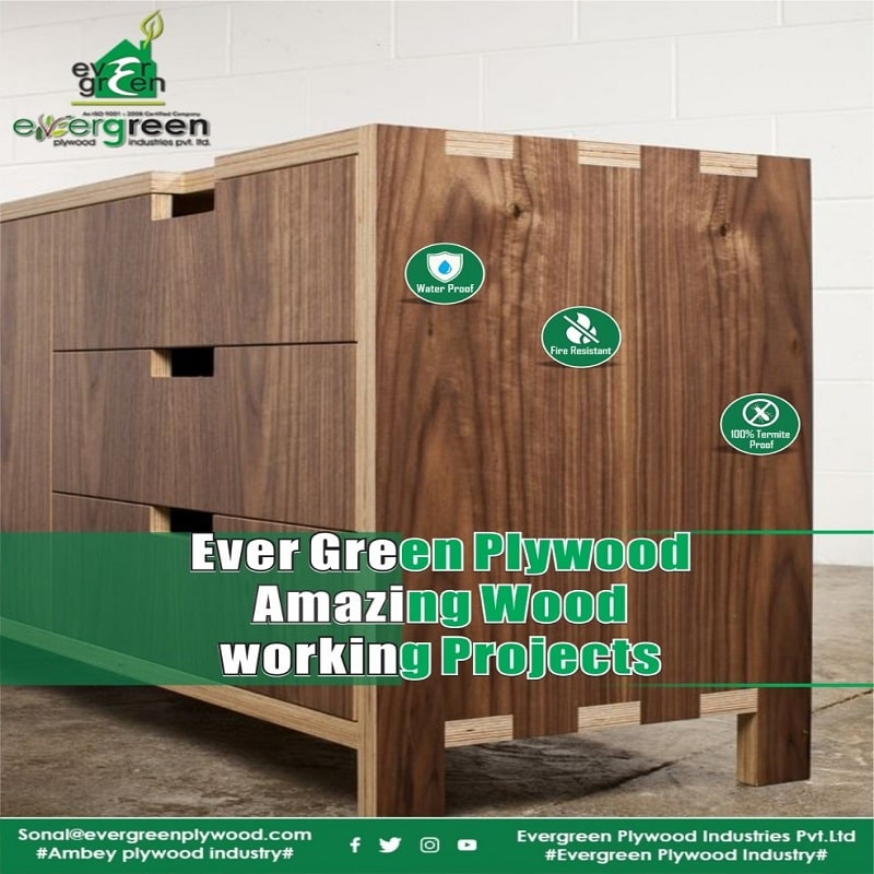 Shuttering Plywood Manufacturer in Haryana